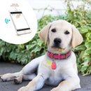 Rastreador GPS de Coleira Para Pets - PetFinder
