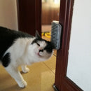 pets  escovação gatos  escovas de gato parede  escova para gatos  escova para gato  escova gatos pelo longo  escova gatos pelo curto  escova gatos parede  escova gatos  escova gato pelo longo  escova gato pelo curto  escova gato parede  escova gato  escova de gatos  escova de gato  COLECAO_GATOS