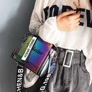Bolsa Metalizada - Metalic Leather