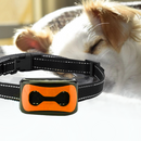 Coleira Anti Latido Ultrassônica Para Adestramento de Cães - Collar Dog - Fragamaiaqual a melhor coleira antilatido  Pode usar coleira Antilatido  O que fazer para o cão parar de lati  O que faz uma coleira anti latido  Como acabar com latidos excessivos  coleira antilatido ultrassônica  coleira antilatido ultrassonica funciona  coleira antilatido ultrassonica faz mal  coleira antilatido depoimentos  Coleira antilatido  coleira anti latido  antilatido  anti latido