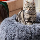 pets  pet  caminhas para cachorro  caminha nuvem para gato  caminha nuvem para cachorro ou gato veludo super macia  caminha nuvem para cachorro  caminha nuvem  caminha de gato  caminha cachorro  camas pet  cama pet  cama para gato  cama para cachorro  cama nuvem para gato  cama nuvem para cachorro  cama nuvem cachorro  cama nuvem  cama gato  cama de cachorro