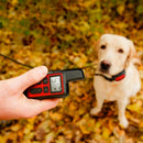 Coleira Anti Latido E Adestramento - Collar Anti-Bark - Fragamaiaqual a melhor coleira antilatido  pet  MAIS_VENDIDOS  coleira antilatidos  coleira antilatido para cachorro  coleira antilatido funciona mesmo  coleira antilatido cachorro  coleira antilatido  coleira anti latido  COLECAO_CACHORROS  antilatidos  antilatido  anti latido