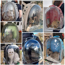 Mochila Para Transporte De Gatos - Backpack For Cats - Fragamaiapet  mochila pet visão panorâmica astronauta  mochila pet visão panorâmica  mochila pet astronauta  mochila pet  mochila para transportar gatos  mochila para transportar gato  mochila para levar gatos  mochila para levar gato  mochila para gatos  mochila para gato  mochila de transportar gato  COLECAO_GATOS